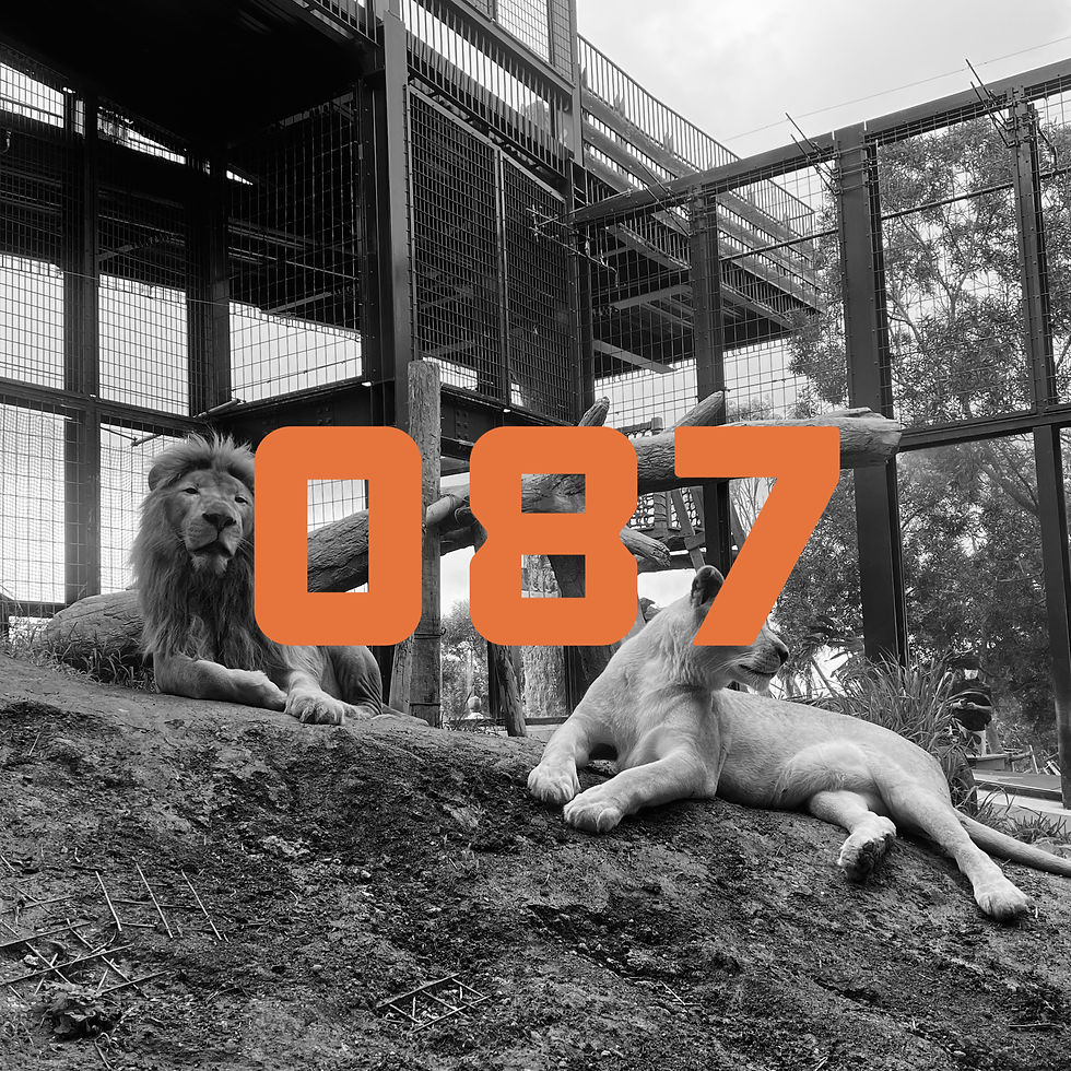 Tech House / Techno Mix #087 mixted by CHOUM!