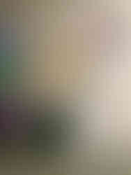 Woman stands by a table with brochures next to a banner about neurodevelopmental differences. The setting is a white-walled room.