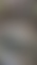 NEST 2025 Wrapped: A Year of Connection, Growth & Impact 🌟