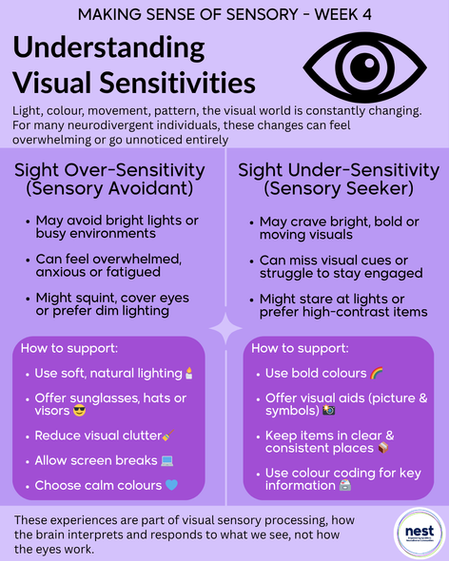 Infographic on visual sensitivities: over-sensitivity (avoidant) vs under-sensitivity (seeker). Includes support tips. Purple background.