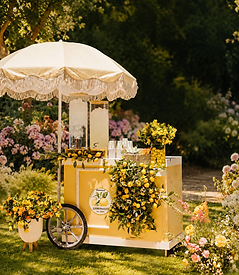 lemonade product cart.png