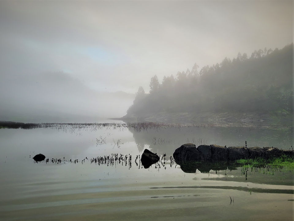 Misty morning on the bank of the Mondego river