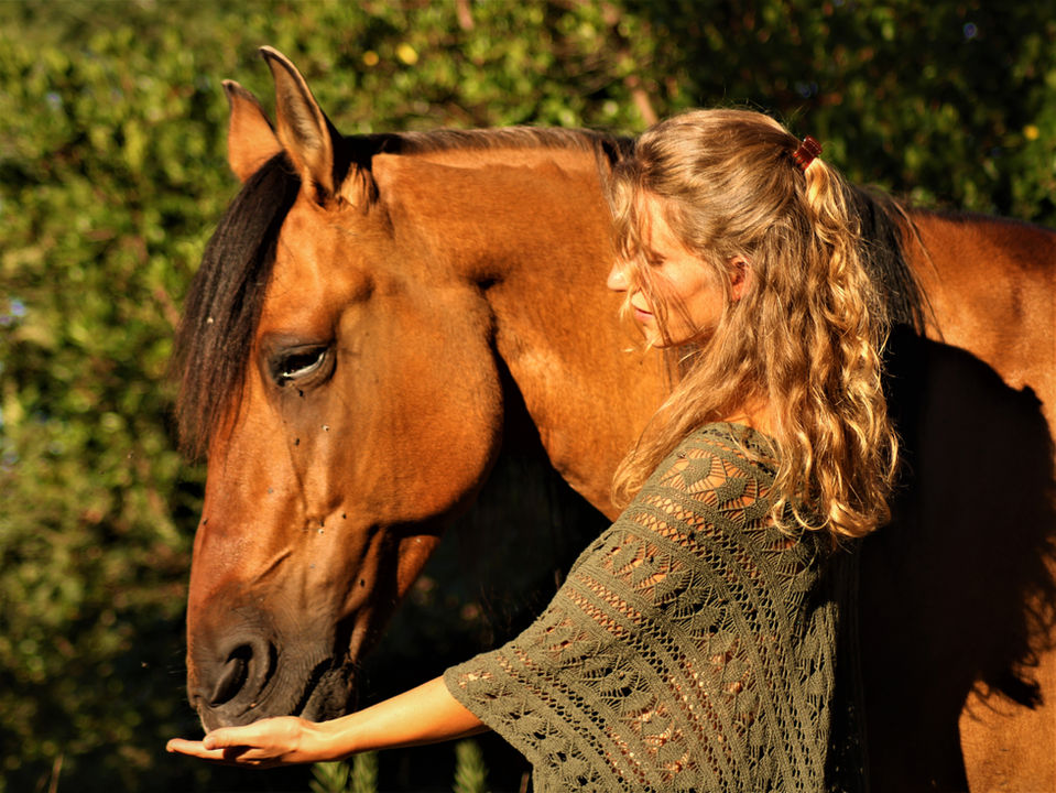 Horse with woman at Encontro no Rio