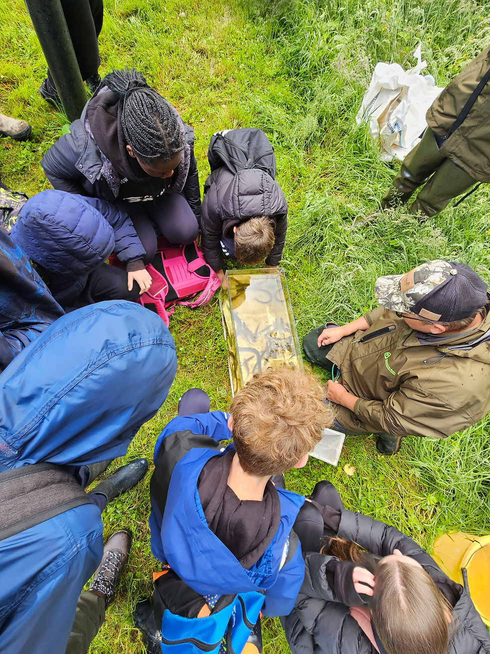 Markus Muller IFI describing the different fish to be found in the Unshin River