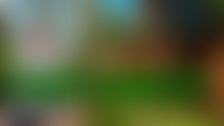 EL ERROR QUE HUNDE TU CASA