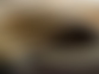 what hides beneath the surface