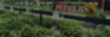 vegetables_Hero7.jpg