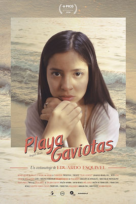 Playa Gaviotas - FICG34 01.jpg