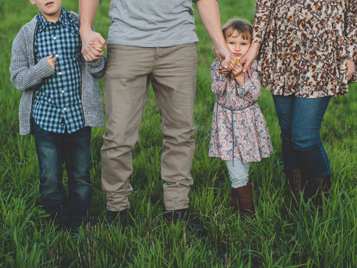 Descriptions of Adult Problems In Dysfunctional Families