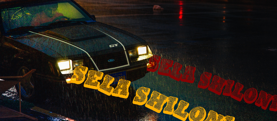 An Interview with Sela Shiloni