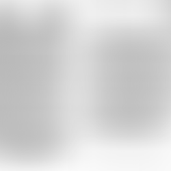 DIPS2.0に係る飛行実施までの手続きについて