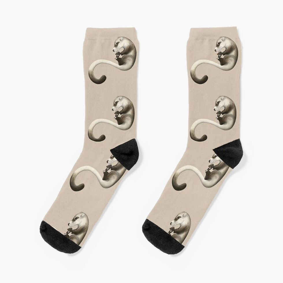 Black-footed Ferret Socks