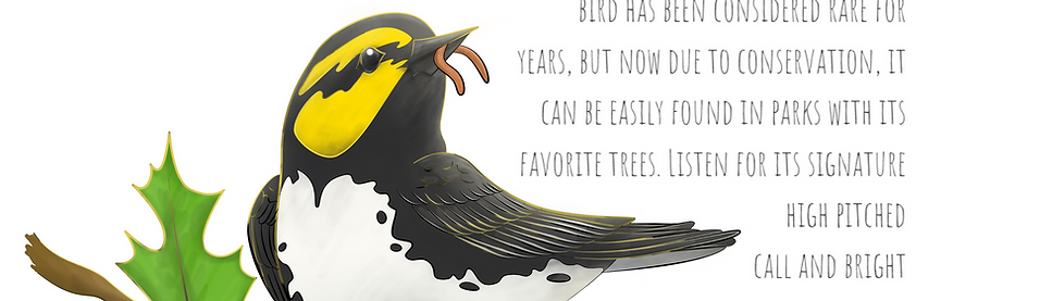 Golden Cheeked Warbler_instagram0.png