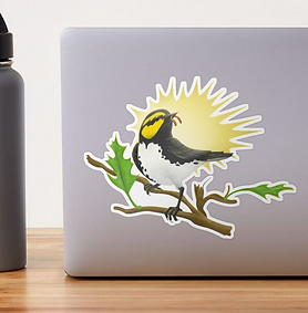 06-Golden Cheeked Warbler_instagram 2.PNG