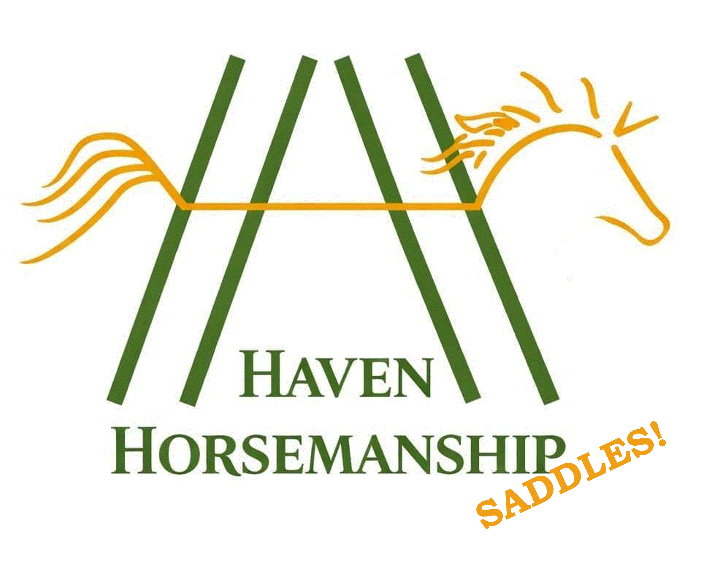 NEWlogoSaddles.gif
