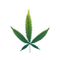 C3.png
