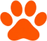 ChatGPT-Image-Aug-9,-2026,-.png
