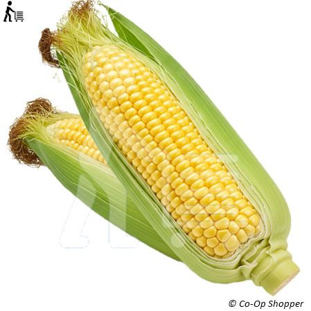 Fresh Corn everyday market product