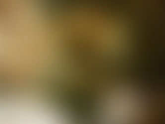 Een cozy winterscene met een gebreid crème dekentje, een mok warme chocolademelk met marshmallows en kaneel, en een kerstboom versierd met warme fairy lights. Sfeervolle december-sfeer, perfect voor winter wellness en selfcare momenten.