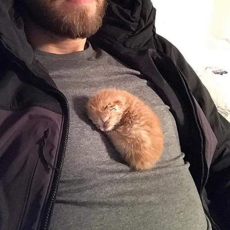 love letter (updated)