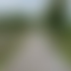 ramblings: on words and my poem ‘fly?’