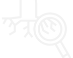 oligoscan logos (1).png