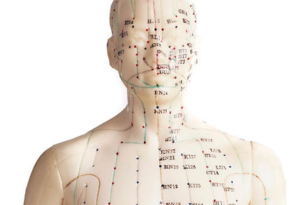 Qi-and-Meridians.jpeg