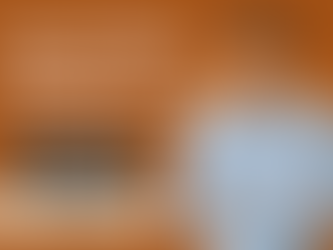 Arietis Franchise Partners