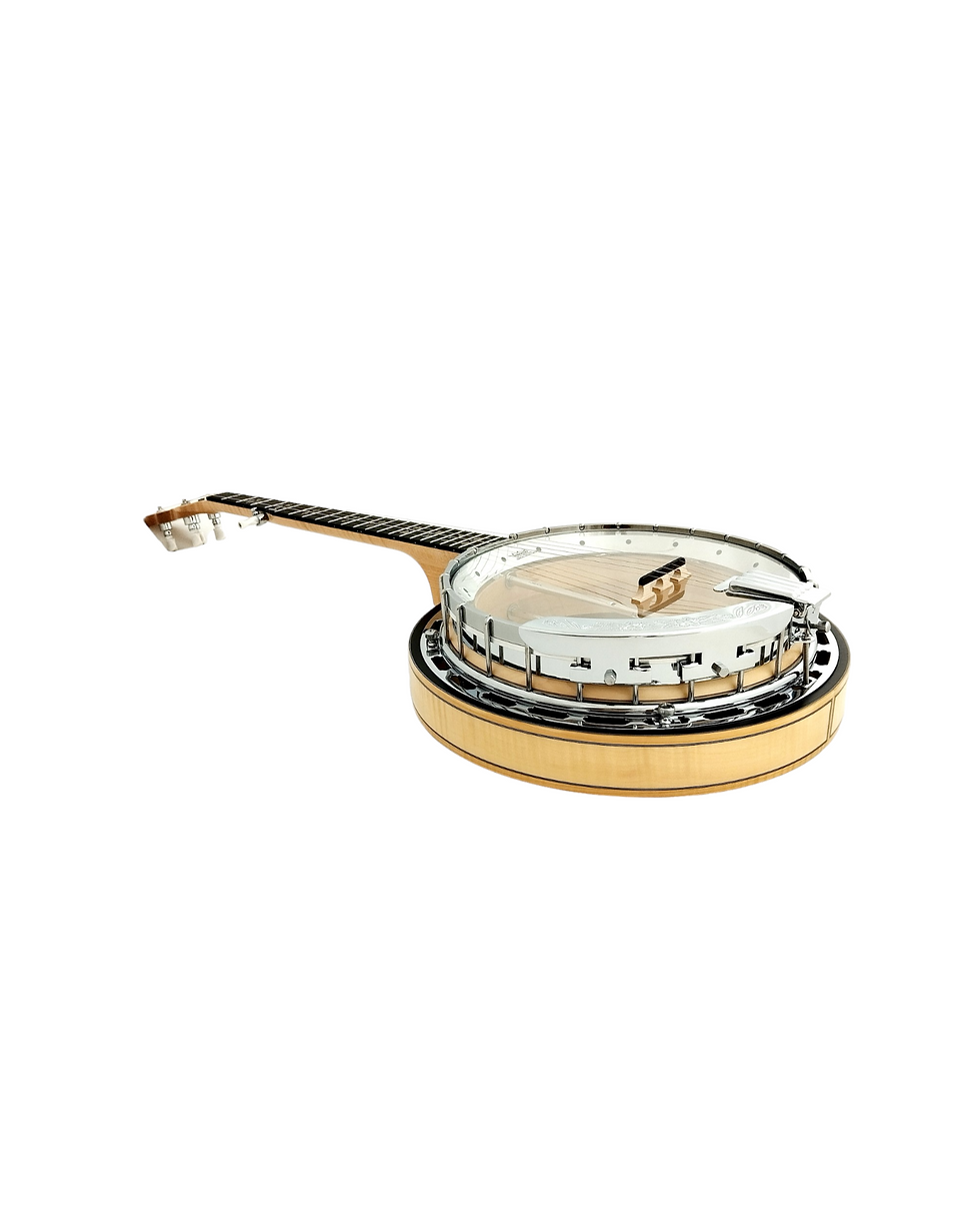 Thumbnail: The Harmony of Tradition and Innovation BJ009AM 5-String Banjo with hardcase