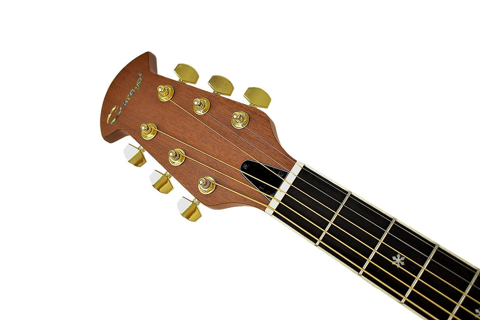 Thumbnail: Caraya SP723CEQBS Roundback Built-In Pickups Fibre Glass Back Acoustic Guitar -