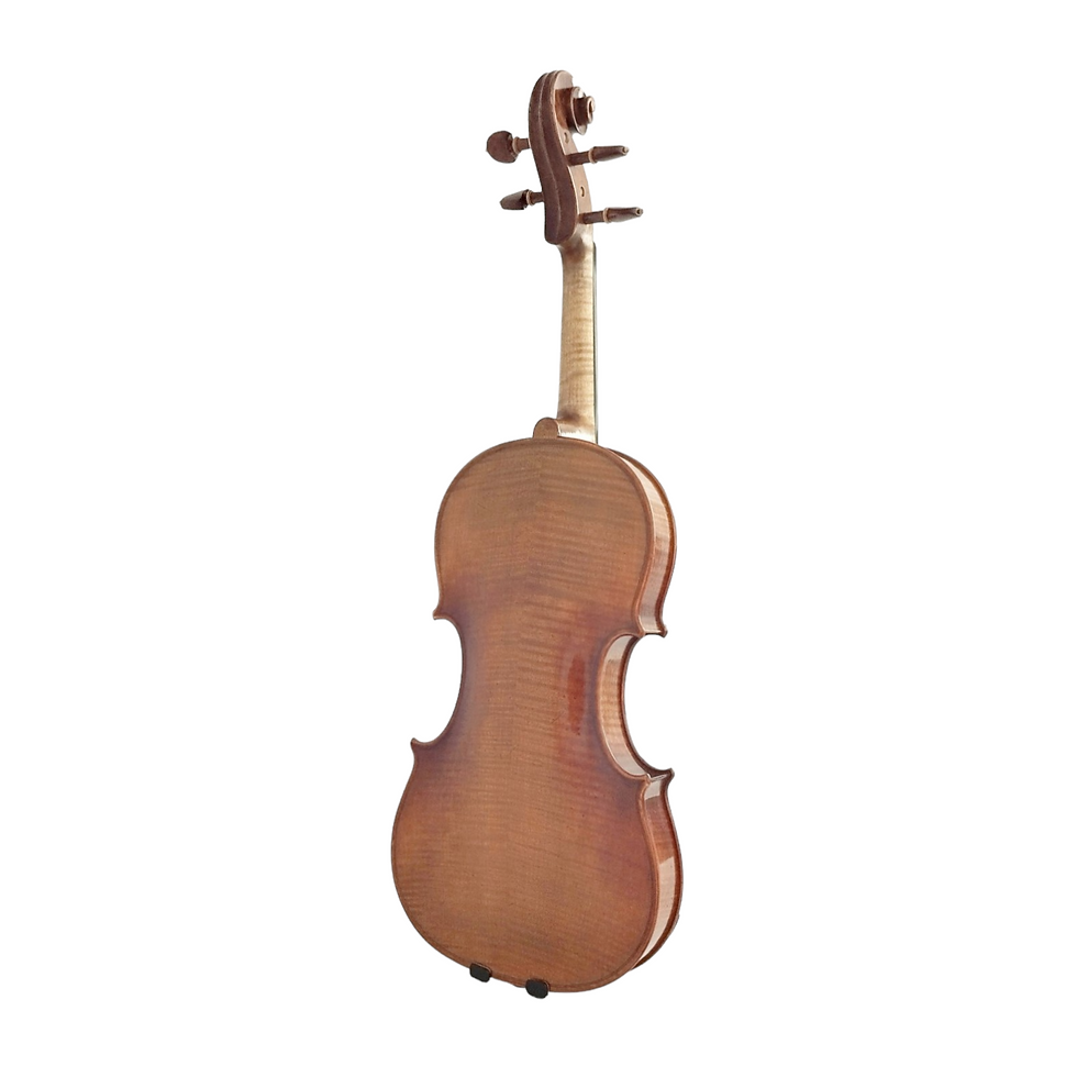 Thumbnail: Echoes of Elegance, The PVE200 Symphony Violin