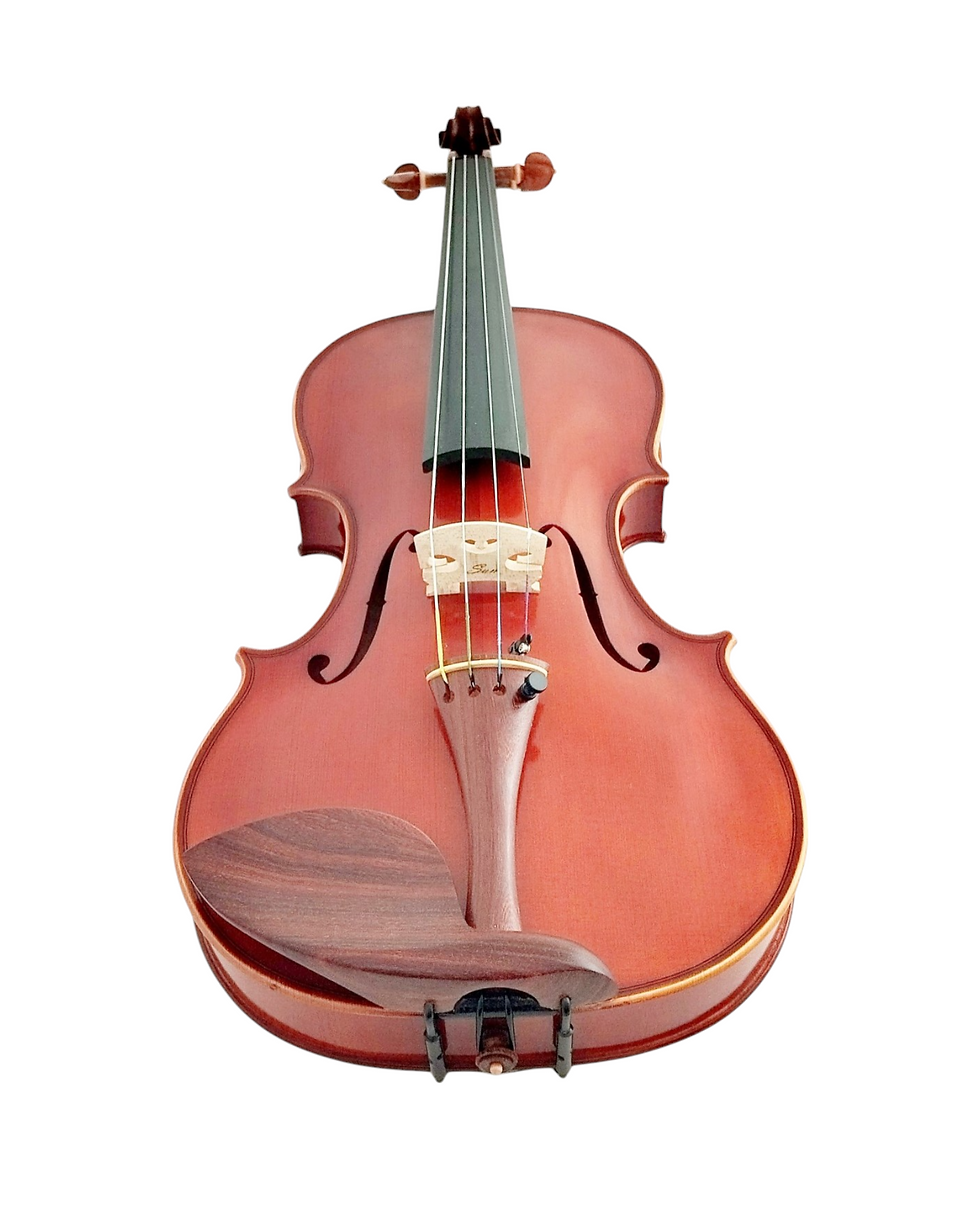 Thumbnail: Full Size SRVA211442 Violin Outfit