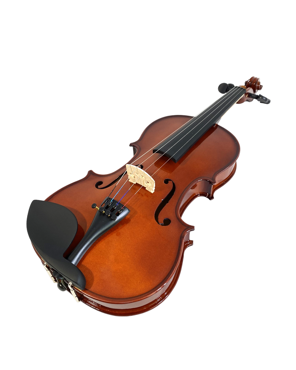 Thumbnail: Caraya MV001 4/4-1/16 size Violin outfit w/Extra strings, Foam Hard Case, Bow, R
