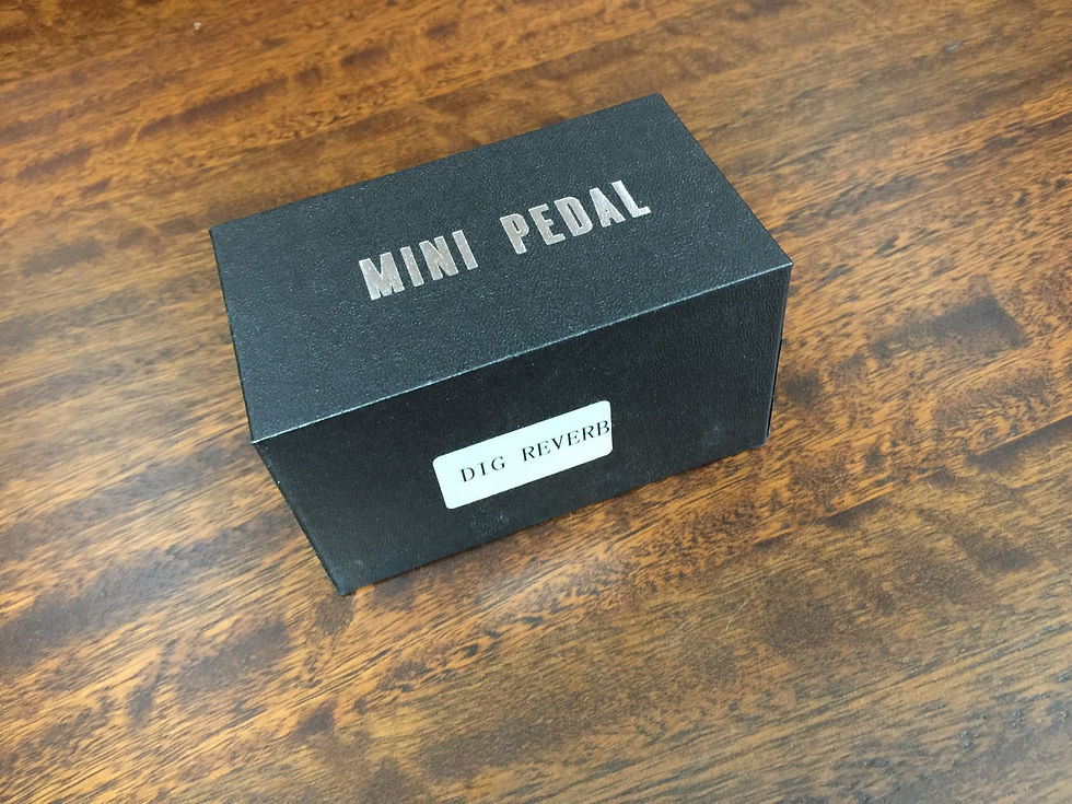 Thumbnail: Haze DIGReverb Guitar Pedal