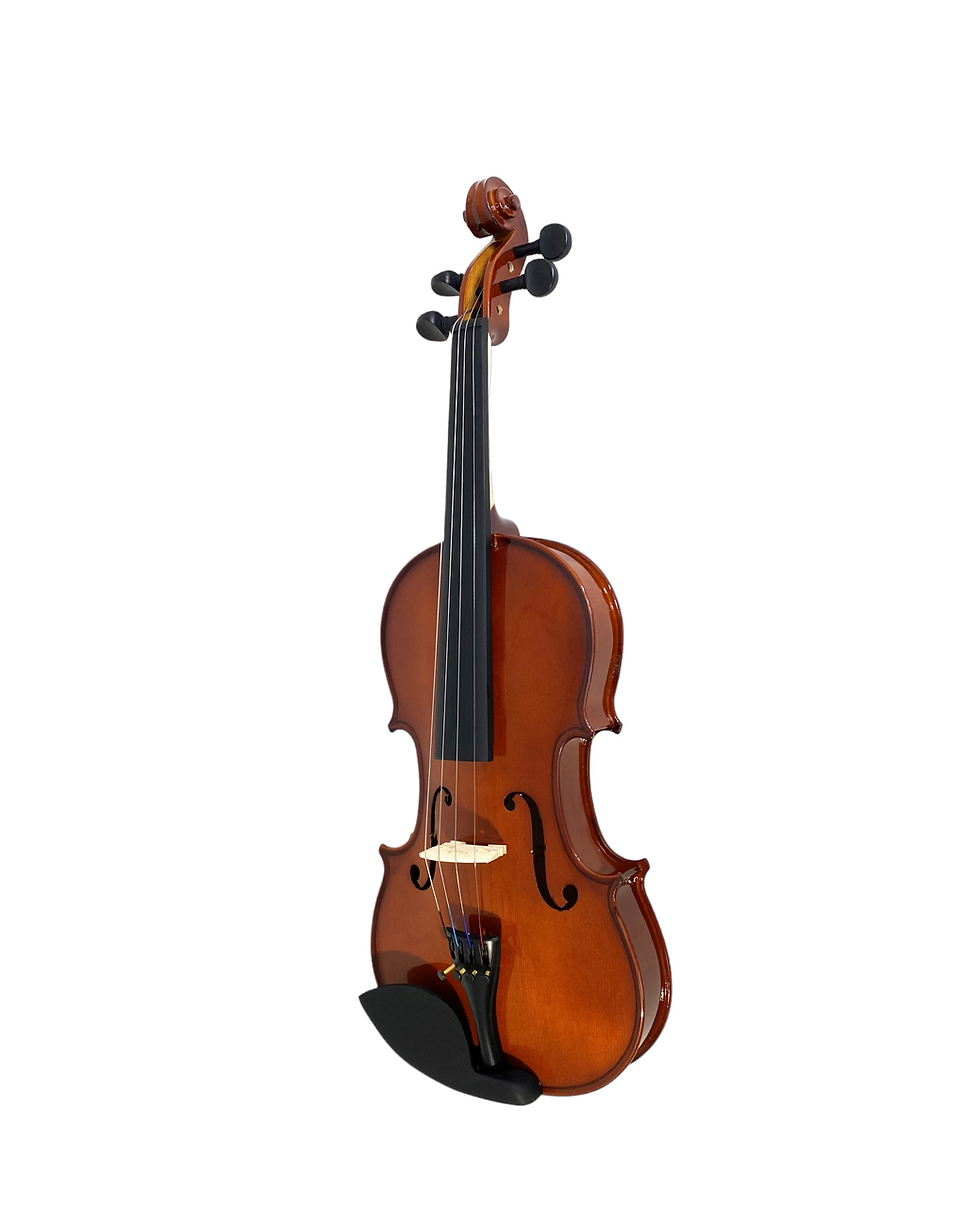 Thumbnail: Caraya MV001 4/4-1/16 size Violin outfit w/Extra strings, Foam Hard Case, Bow, R