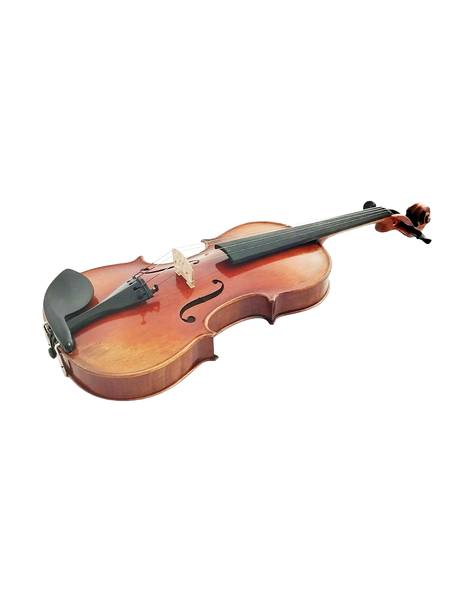 Thumbnail: Harmonic Brilliance, The AVA110 Symphony Violin