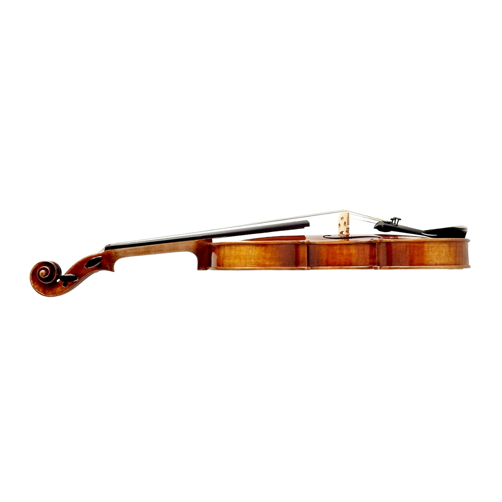 Thumbnail: Melodic Majesty, The PVE80 Symphony Violin