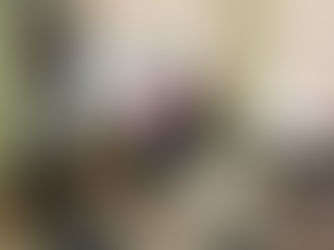 БЕЗПЕРЕРВНИЙ ПРОФЕСІЙНИЙ РОЗВИТОК МЕДИЧНИХ СЕСТЕР