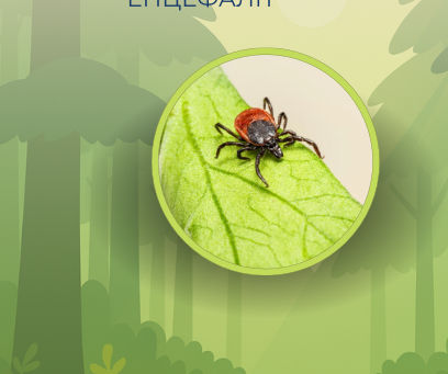 Кліщовий енцефаліт.