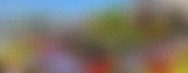 Victoria Fotoracconto di un meraviglioso viaggio oltreoceano