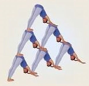 Wide angle view of a tranquil outdoor yoga retreat