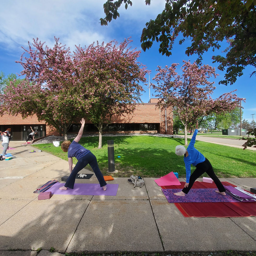 A few people doing a triangle yoga pose facing blossoming crab apple trees in Falcon Heights, Minnesota. The trees look similar to the cherry blossom
