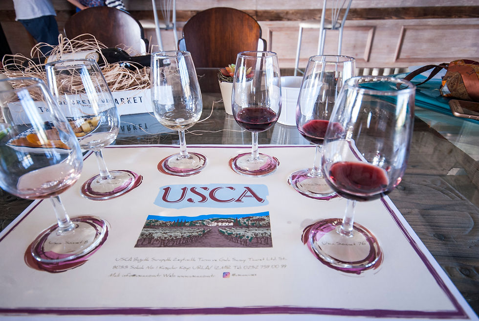 wine glasses set out for a tasting