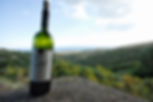 wine bottle overlooking vineyard