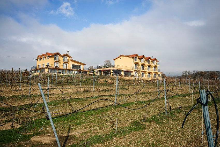 vineyard with buildings