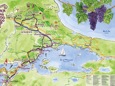 Feature: Exploring Turkish Wine Routes - Trakya Bağ Rotası