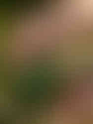 a hand showing grapevines