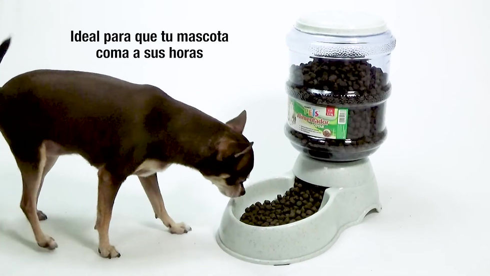 Miniatura: ALIMENTADOR GDE 15 LB (6.8 KG)