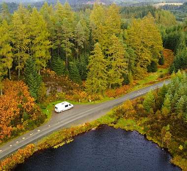 woodland photography