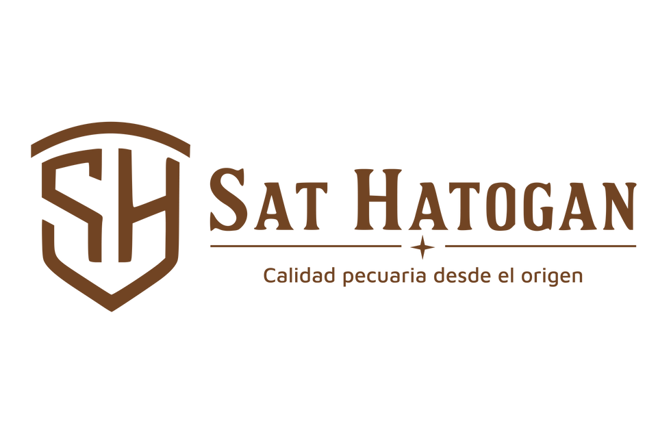 SAT HATOGAN APLICACION-08.png